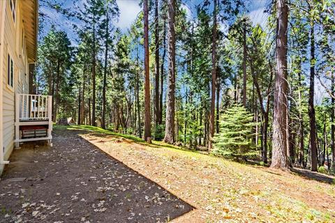 3709 Ruby Ct, Pollock Pines, CA 95726 photo 38