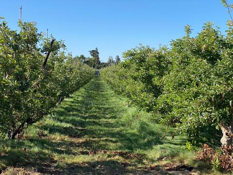 15550 E Mello Rd, Ripon, CA 95366 photo 1