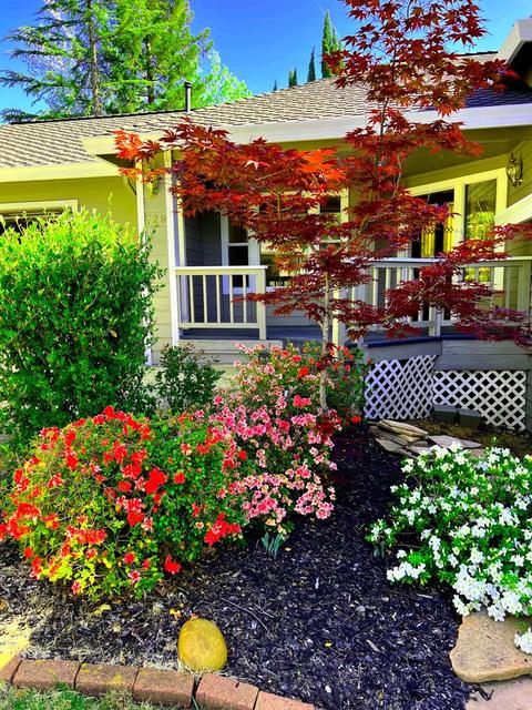 729 Oak Crest Cir, Placerville, CA 95667 photo 3