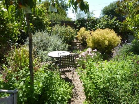 8194 Marshall St, Sutter, CA 95982 photo 35