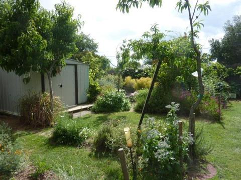 8194 Marshall St, Sutter, CA 95982 photo 39