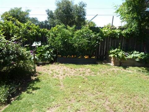 8194 Marshall St, Sutter, CA 95982 photo 29