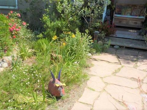 8194 Marshall St, Sutter, CA 95982 photo 4