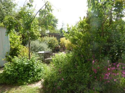 8194 Marshall St, Sutter, CA 95982 photo 40