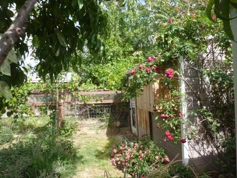 8194 Marshall St, Sutter, CA 95982 photo 37
