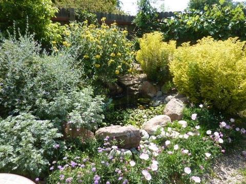 8194 Marshall St, Sutter, CA 95982 photo 31