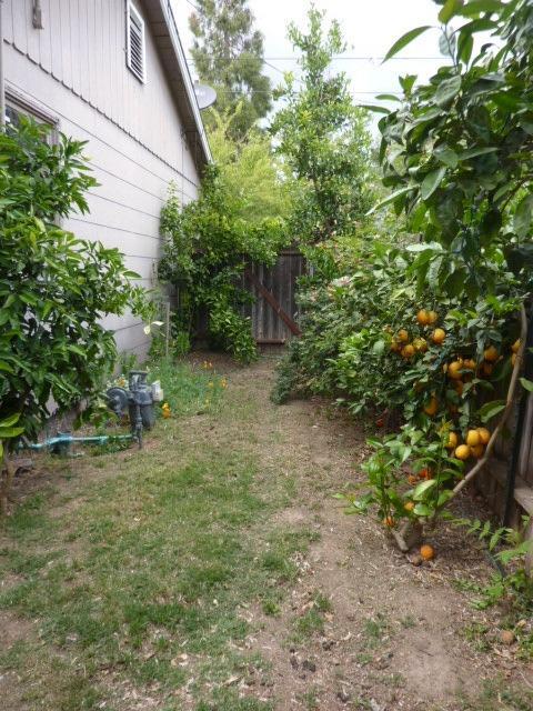 8194 Marshall St, Sutter, CA 95982 photo 44