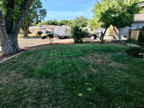 1370 Audrey Dr, Tracy, CA 95376 photo 6