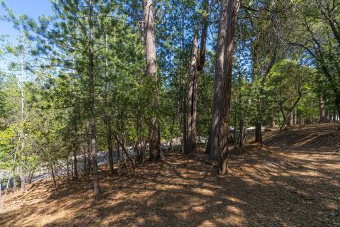 12781 Tabeaud Rd, Pine Grove, CA 95665 photo 17