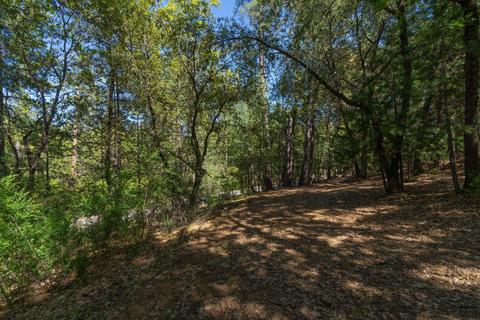 12781 Tabeaud Rd, Pine Grove, CA 95665 photo 19