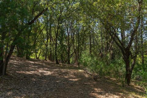 12781 Tabeaud Rd, Pine Grove, CA 95665 photo 16
