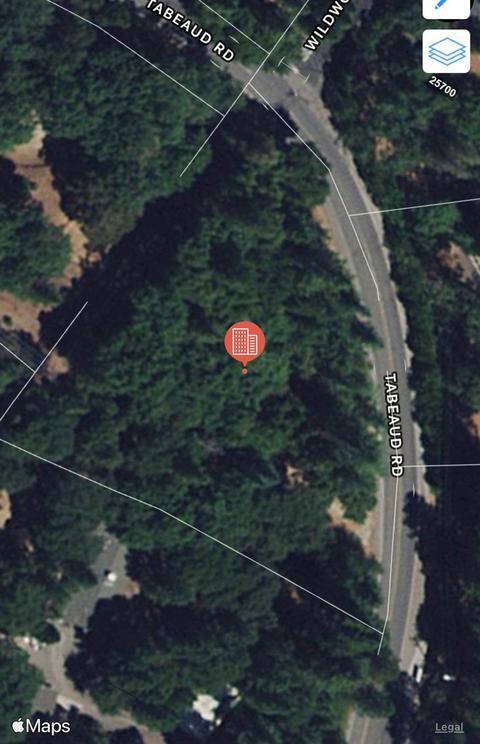 12781 Tabeaud Rd, Pine Grove, CA 95665 photo 2