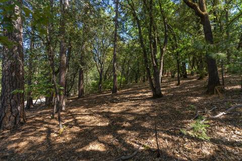 12781 Tabeaud Rd, Pine Grove, CA 95665 photo 20