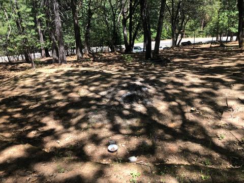 12781 Tabeaud Rd, Pine Grove, CA 95665 photo 7