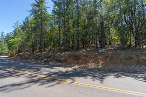 12781 Tabeaud Rd, Pine Grove, CA 95665 photo 10