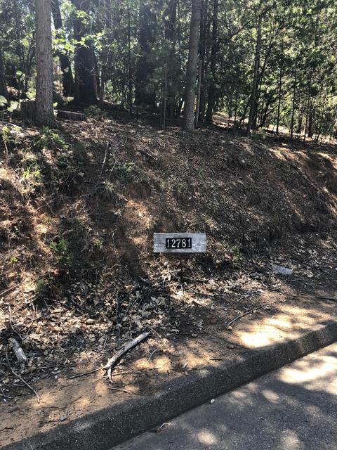12781 Tabeaud Rd, Pine Grove, CA 95665 photo 4