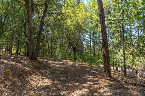 12781 Tabeaud Rd, Pine Grove, CA 95665 photo 1