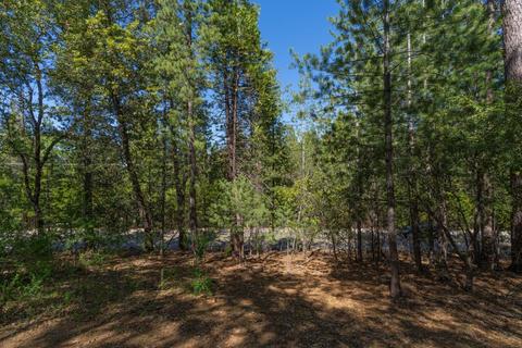 12781 Tabeaud Rd, Pine Grove, CA 95665 photo 18