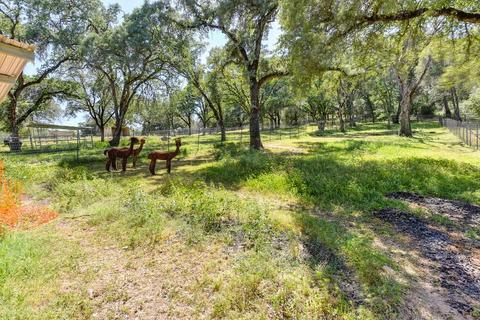 5655 Bears Den Rd, Placerville, CA 95667 photo 30