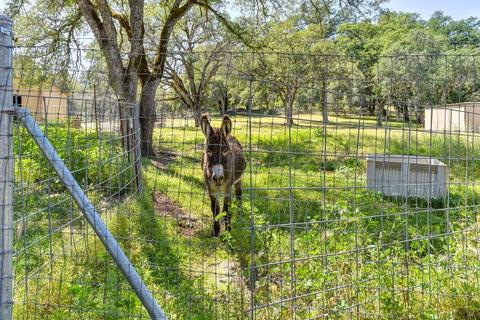 5655 Bears Den Rd, Placerville, CA 95667 photo 27