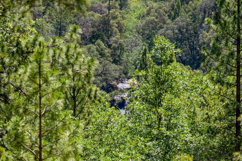 3000 Big Oak Ct, Placerville, CA 95667 photo 11