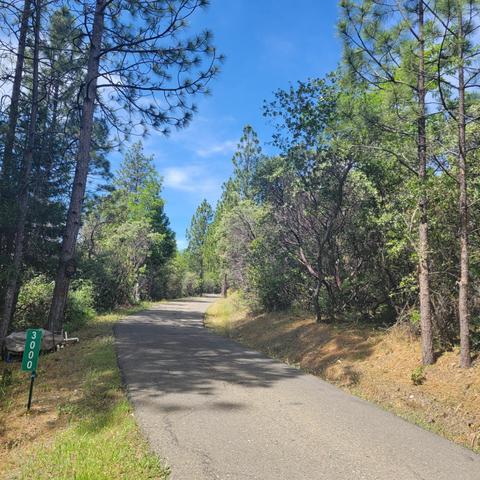 3000 Big Oak Ct, Placerville, CA 95667 photo 60