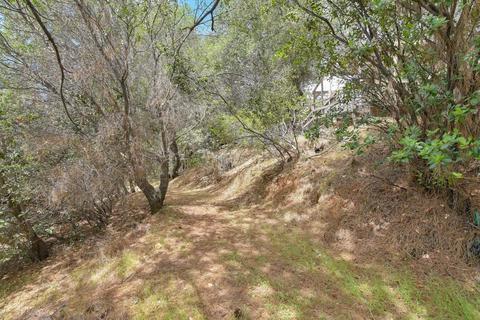 13852 Bowman Rd, Pine Grove, CA 95665 photo 61