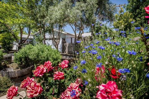 1501 Drexel Dr, Davis, CA 95616 photo 64