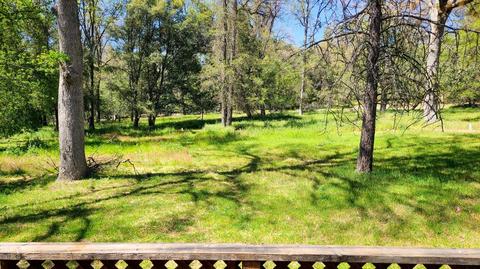 21850 Belleview Rd #40, Sonora, CA 95370 photo 4