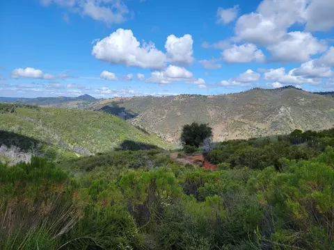 13231 Highway 26, Glencoe, CA 95232 photo 8