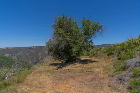 13231 Highway 26, Glencoe, CA 95232 photo 22