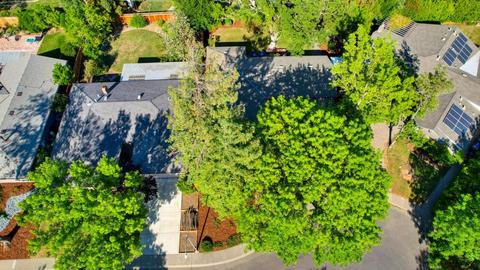 1228 Sequoia Pl, Davis, CA 95616 photo 41