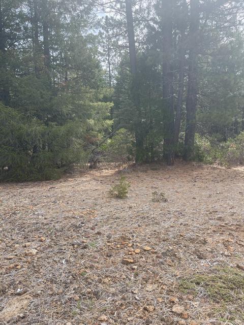 8961 Warner Way, Shingletown, CA 96088 photo 1