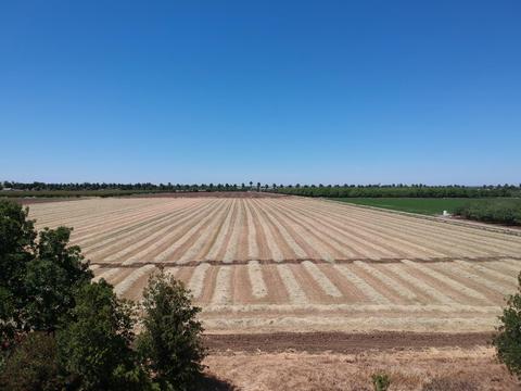 743 Orange Ave, Patterson, CA 95363 photo 7