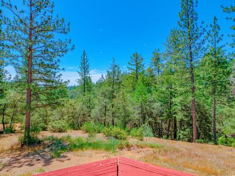 315 Jans Ln, Colfax, CA 95713 photo 27