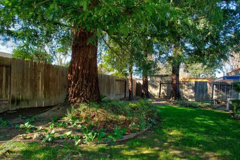 4324 Vista Way, Davis, CA 95618 photo 39