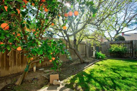 4324 Vista Way, Davis, CA 95618 photo 38