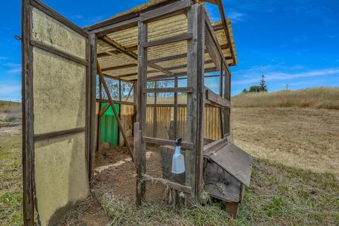 15371 Clinton Rd, Jackson, CA 95642 photo 37