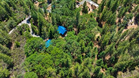 1320 Robbers Ravine Rd, Colfax, CA 95713 photo 46