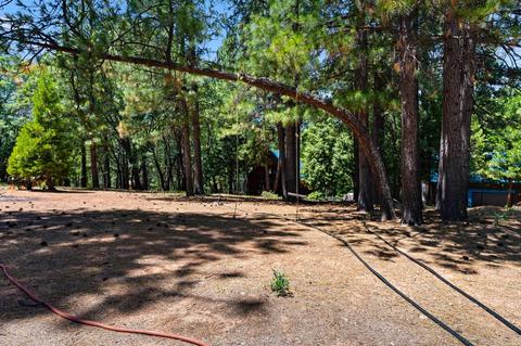 1320 Robbers Ravine Rd, Colfax, CA 95713 photo 45