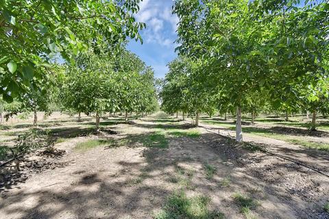 158 Pryde Ave, Biggs, CA 95917 photo 4