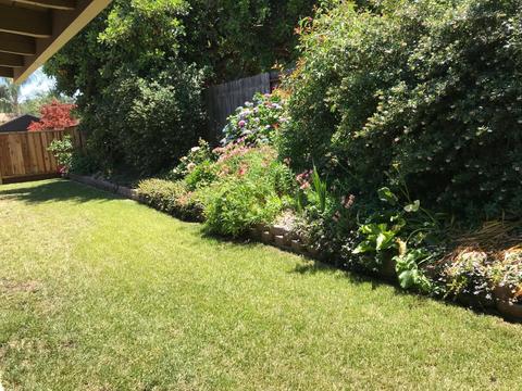 5956 Kenneth Ave, Carmichael, CA 95608 photo 44