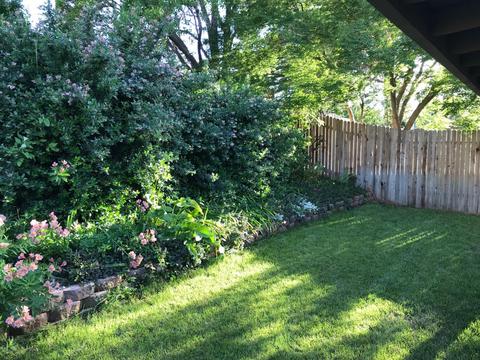 5956 Kenneth Ave, Carmichael, CA 95608 photo 5