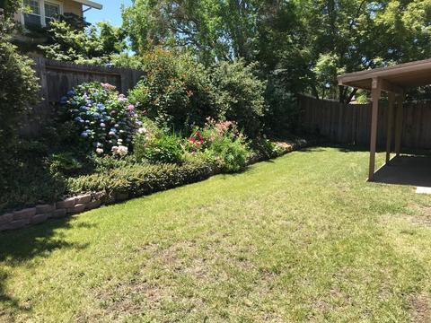 5956 Kenneth Ave, Carmichael, CA 95608 photo 43