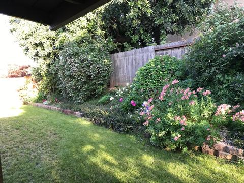 5956 Kenneth Ave, Carmichael, CA 95608 photo 3