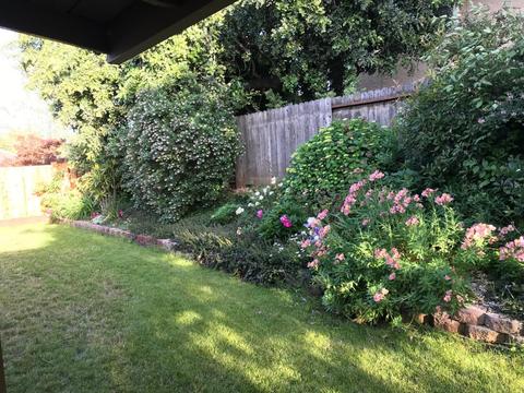5956 Kenneth Ave, Carmichael, CA 95608 photo 4
