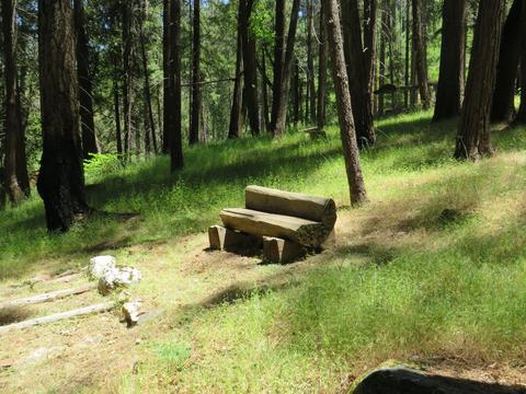 7159 Cedar Springs Rd, Mountain Ranch, CA 95246 photo 32