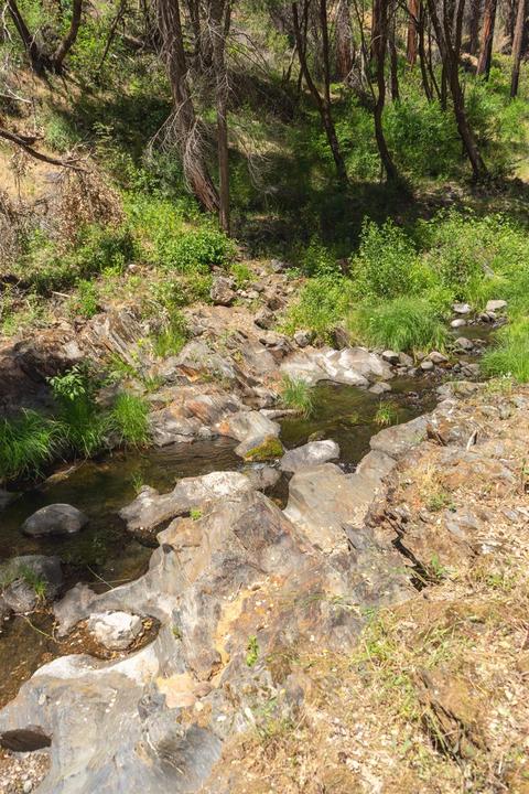 7159 Cedar Springs Rd, Mountain Ranch, CA 95246 photo 26