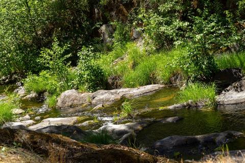 7159 Cedar Springs Rd, Mountain Ranch, CA 95246 photo 22
