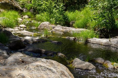 7159 Cedar Springs Rd, Mountain Ranch, CA 95246 photo 23